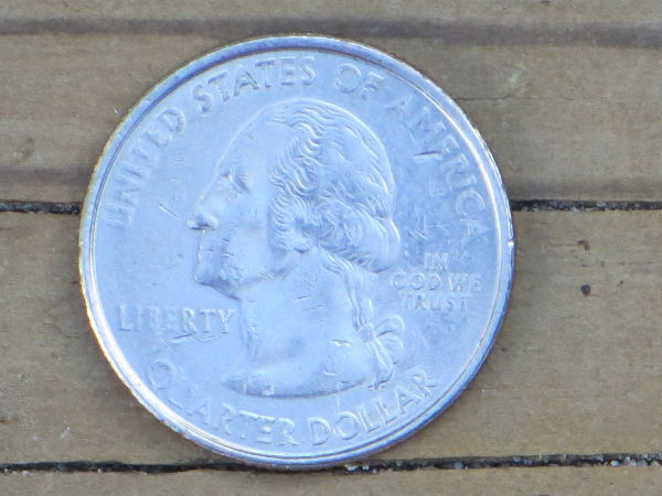 2-State-Quarter-Errors
